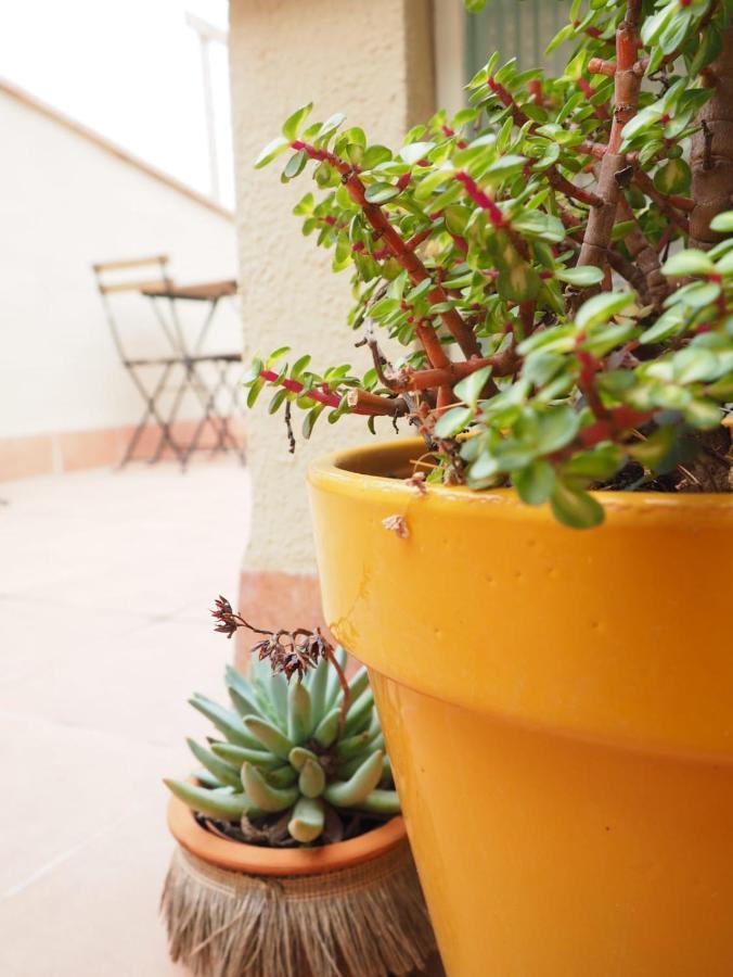 Apartaments La Rambla - Espero De Bolos - 4 Pers Cornudella de Montsant Bagian luar foto